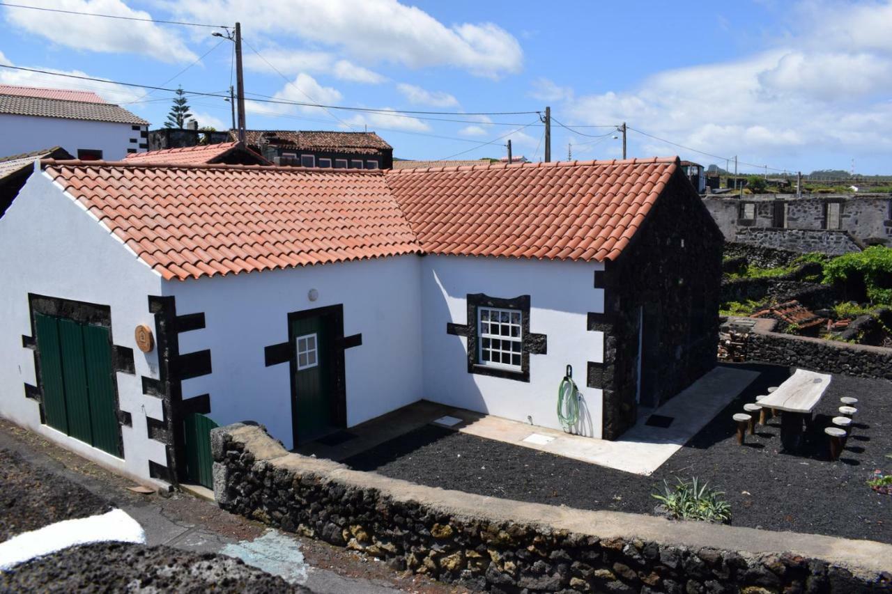 Casinha Da Avo Jeronima Rral 1519 Villa Madalena  Luaran gambar